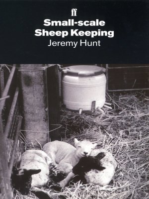 cover image of Small-Scale Sheep Keeping